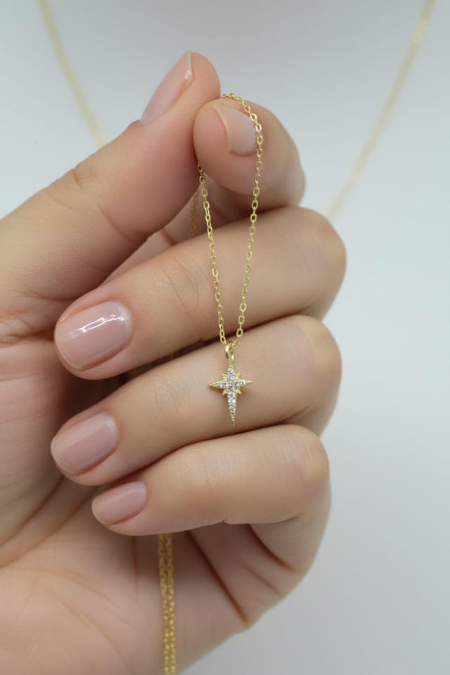 Kutup Yıldızı Gümüş Kolye-Rose