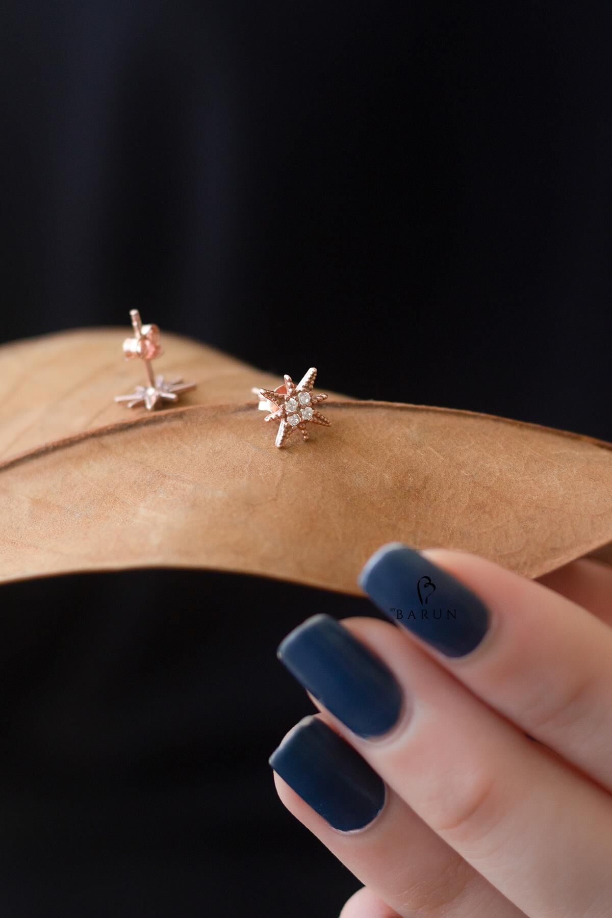 Beyaz Taşlı Kutup Yıldızı Modeli Gümüş Küpe