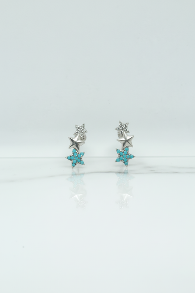 Firuze Yıldız Küpe - Rose