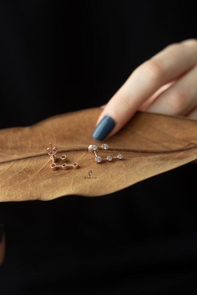 Beş Taş Beyaz 925 Ayar Tasarım Küpe-Rose