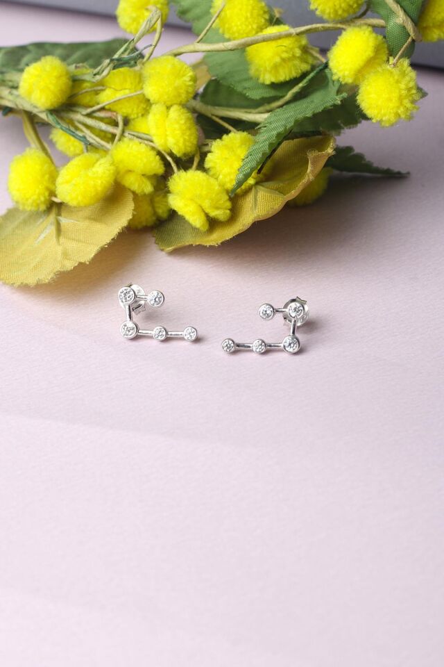 Beş Taş Beyaz 925 Ayar Tasarım Küpe-Rose