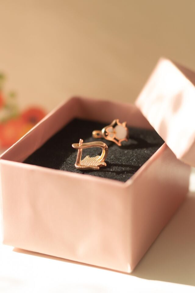 Penguen Kuş Model Mineli Çocuk Küpesi 925 Ayar Gümüş