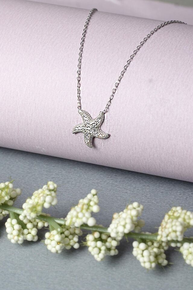 Deniz Yıldızı Gümüş Kolye Zirkon Taşlı 925 Ayar Gümüş Kolye