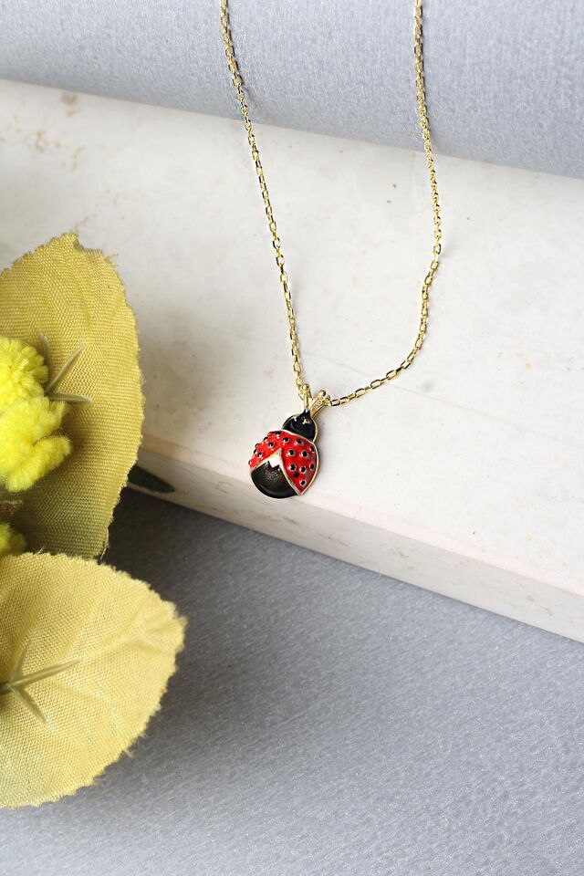 Uğur Böceği Gümüş Kolye 925 Ayar Kırmızı Mineli Kolye