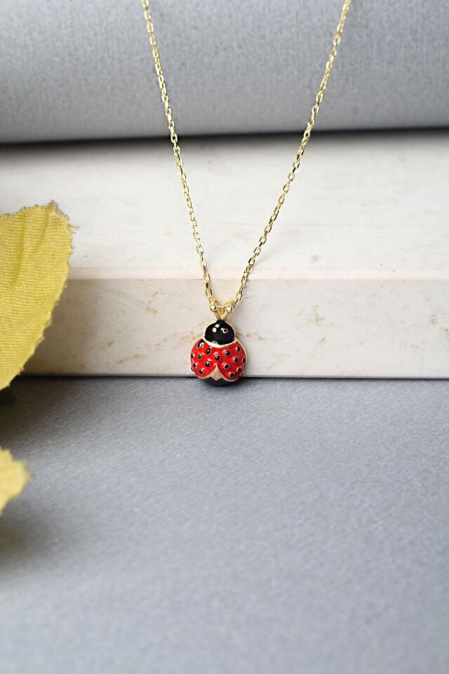 Uğur Böceği Gümüş Kolye 925 Ayar Kırmızı Mineli Kolye