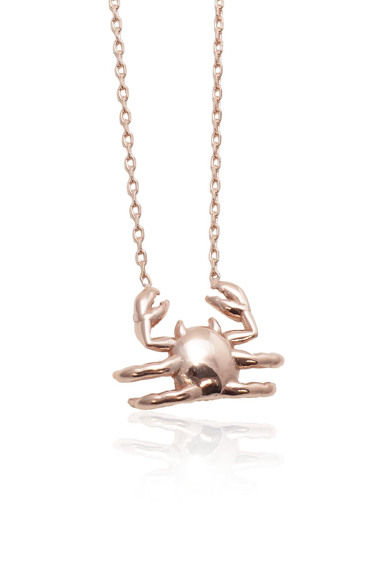 Yengeç Burcu Gümüş Kolye-Rose