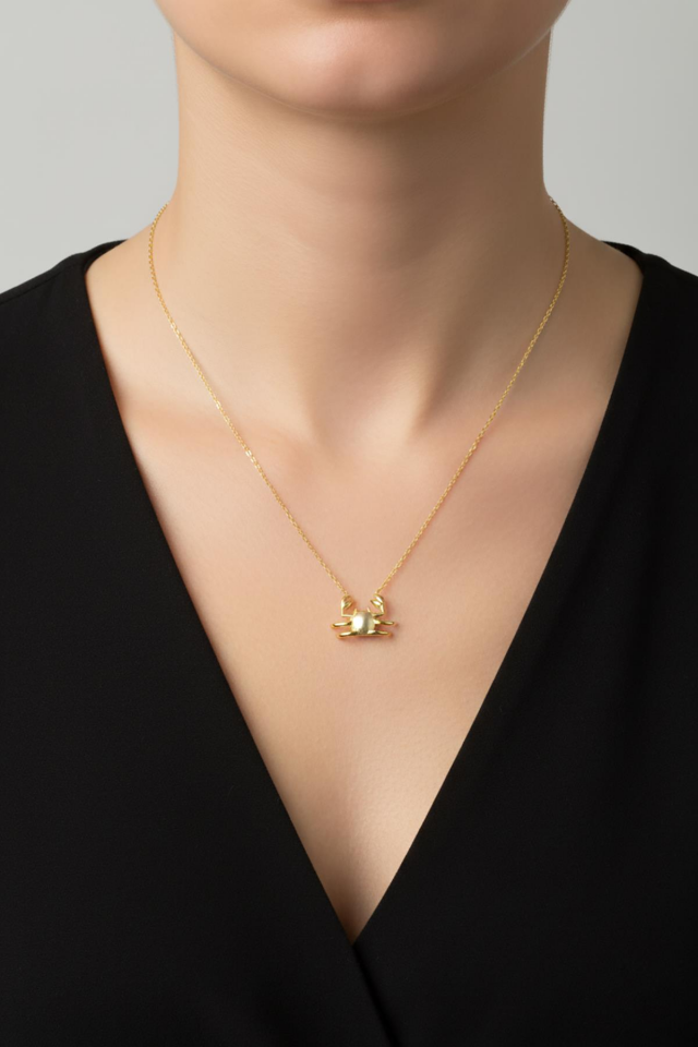 Yengeç Burcu Gümüş Kolye-Rose