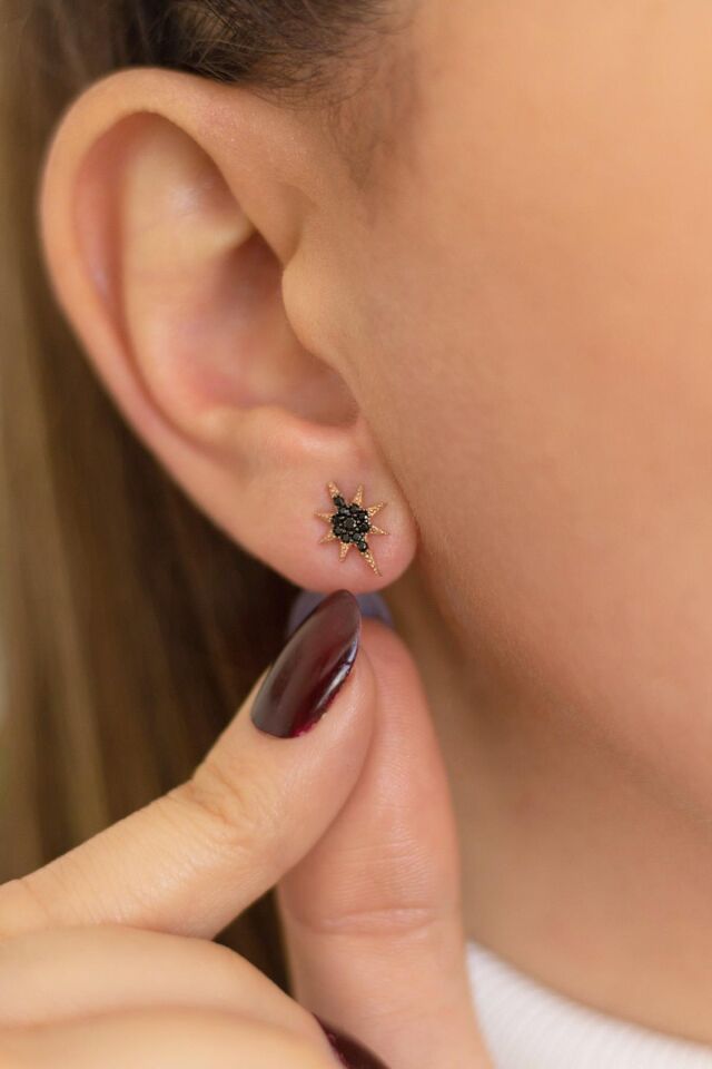 Siyah Taşlı Kutup Yıldızı Gümüş Küpe - Rose